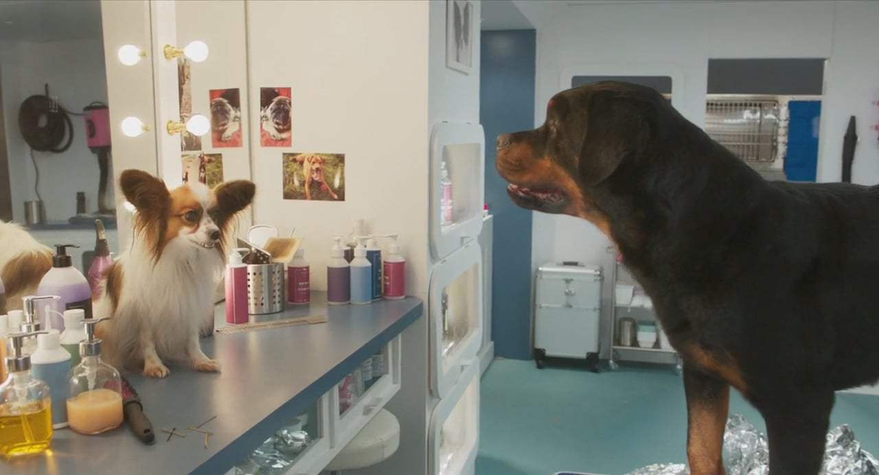 Show Dogs (2018) - Bikini Wax Screen Capture #2