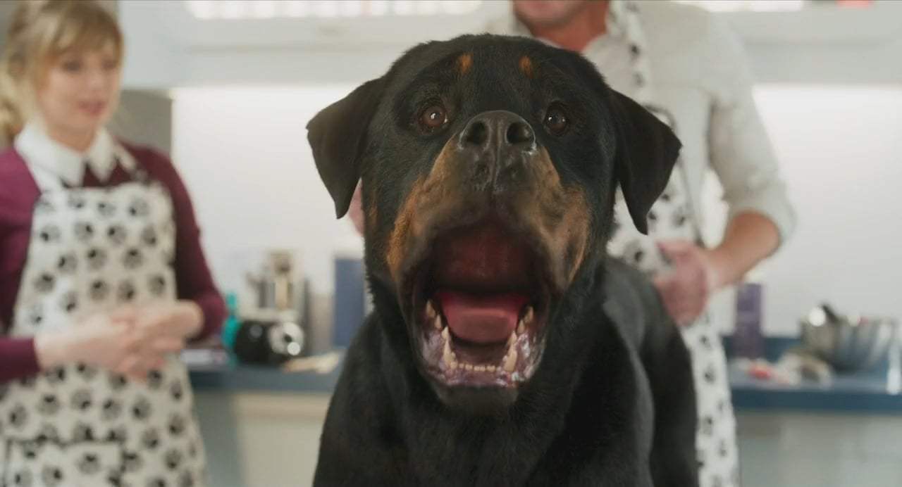 Show Dogs (2018) - Bikini Wax Screen Capture #3