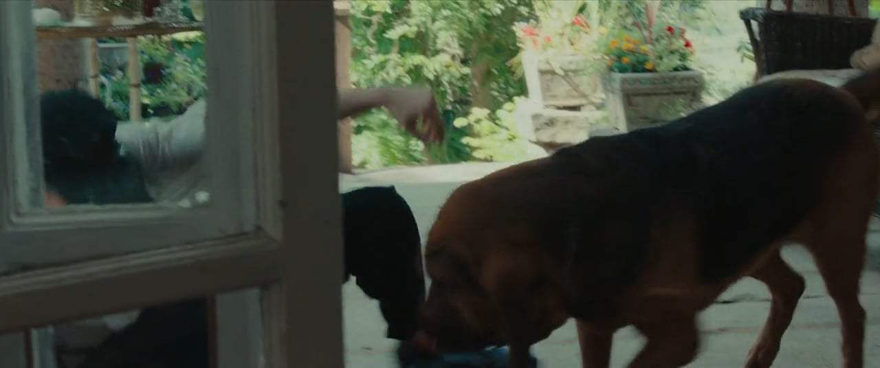 The Seagull (2018) - Loving Without Hope Screen Capture #3
