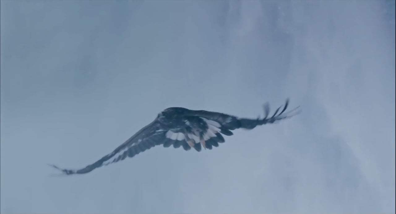 Brothers of the Wind Music Video - 