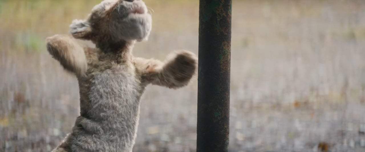 Christopher Robin Trailer (2018) Screen Capture #4