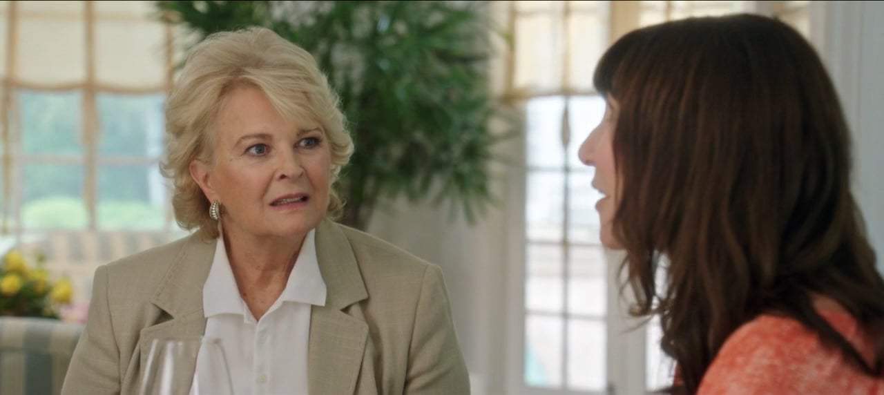 Book Club (2018) - Different Kind of Fun Screen Capture #3