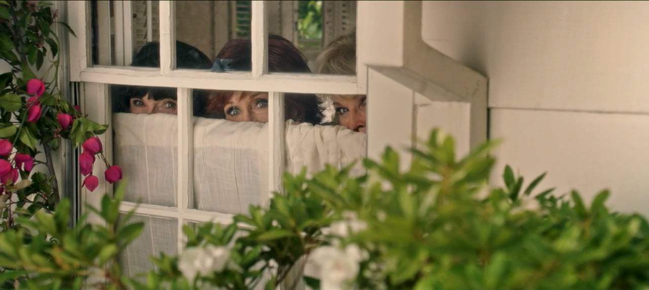Book Club (2018) - He Brought Flowers Screen Capture #4