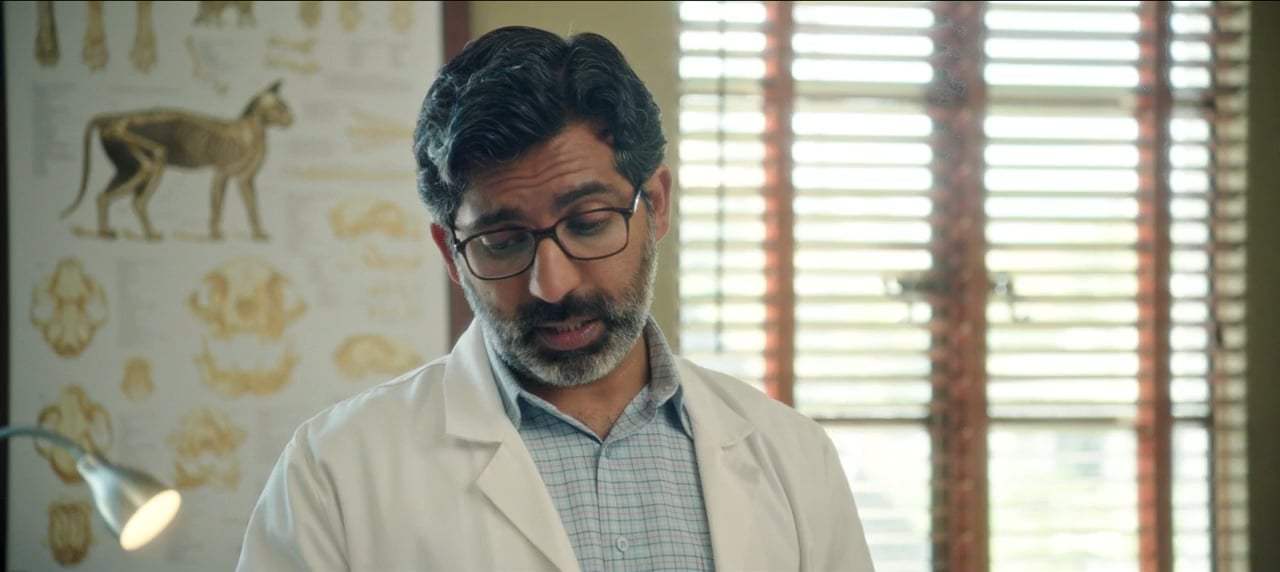 Book Club (2018) - Lethargic Cat Screen Capture #2