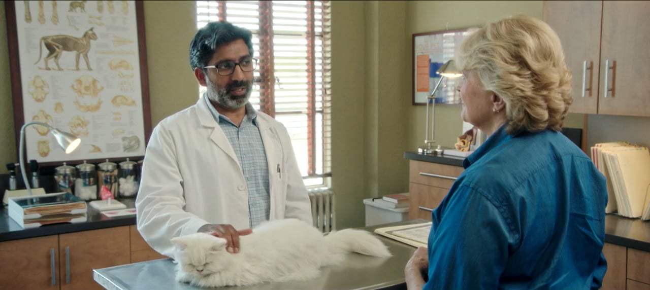 Book Club (2018) - Lethargic Cat Screen Capture #4