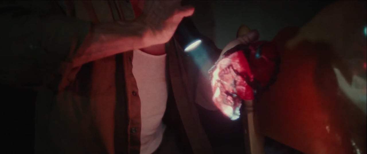 14 Cameras Trailer (2018) Screen Capture #3