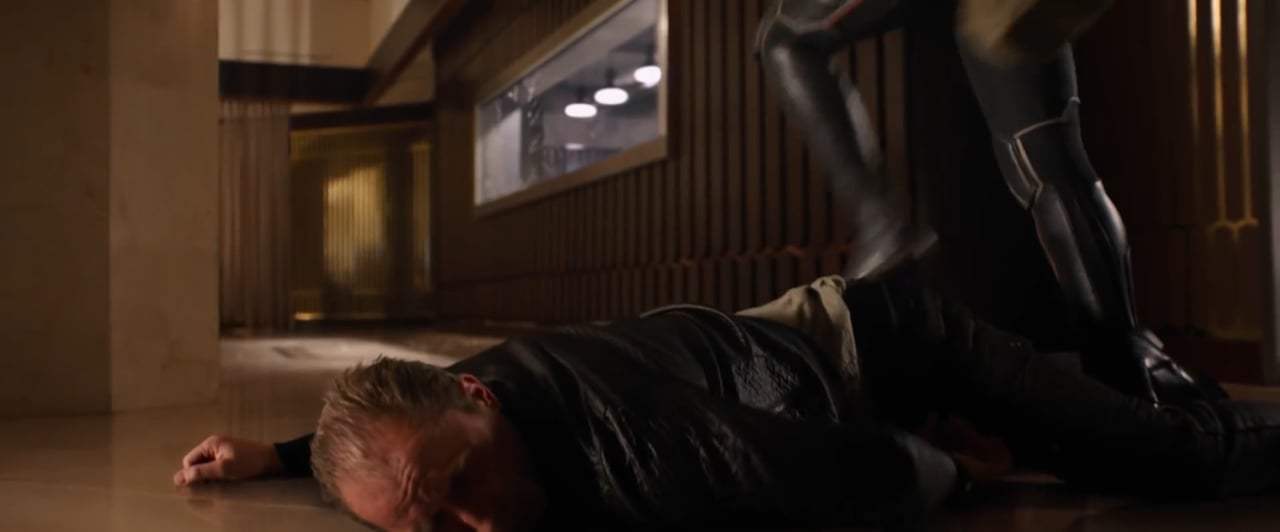 Ant-Man and the Wasp (2018) - Wings and Blasters Screen Capture #4