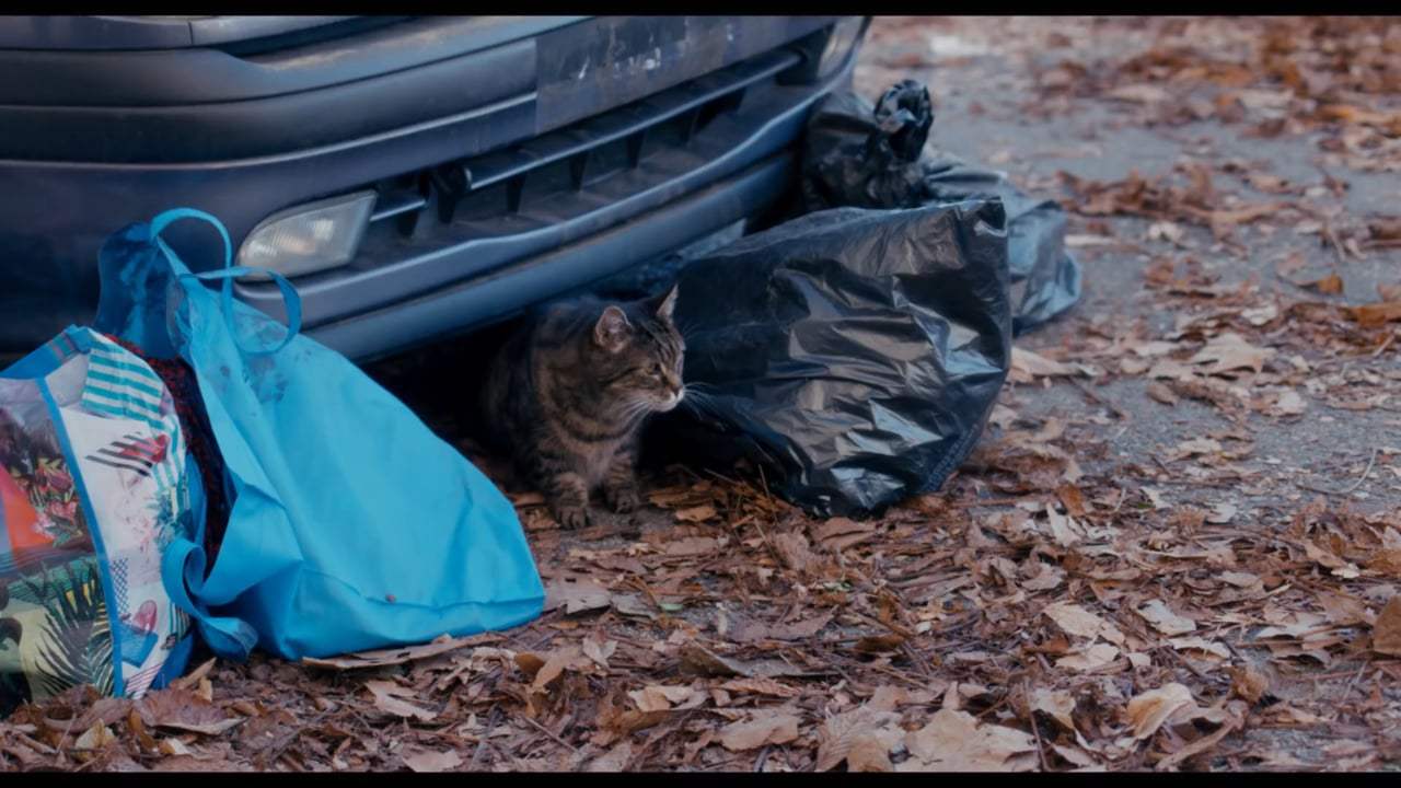 The Night Eats the World Trailer (2018) Screen Capture #4
