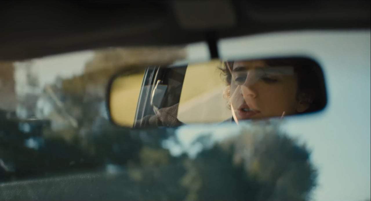 Beautiful Boy Trailer (2018) Screen Capture #3
