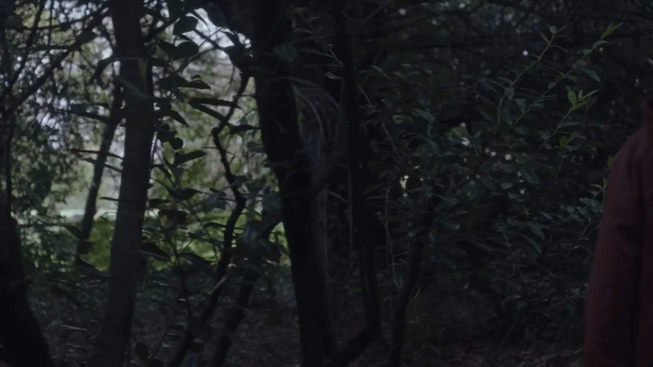 Don't Leave Home Trailer (2018) Screen Capture #2