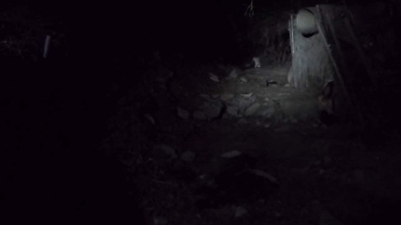 Unfriended: Dark Web TV Spot - The Terror (2018) Screen Capture #2