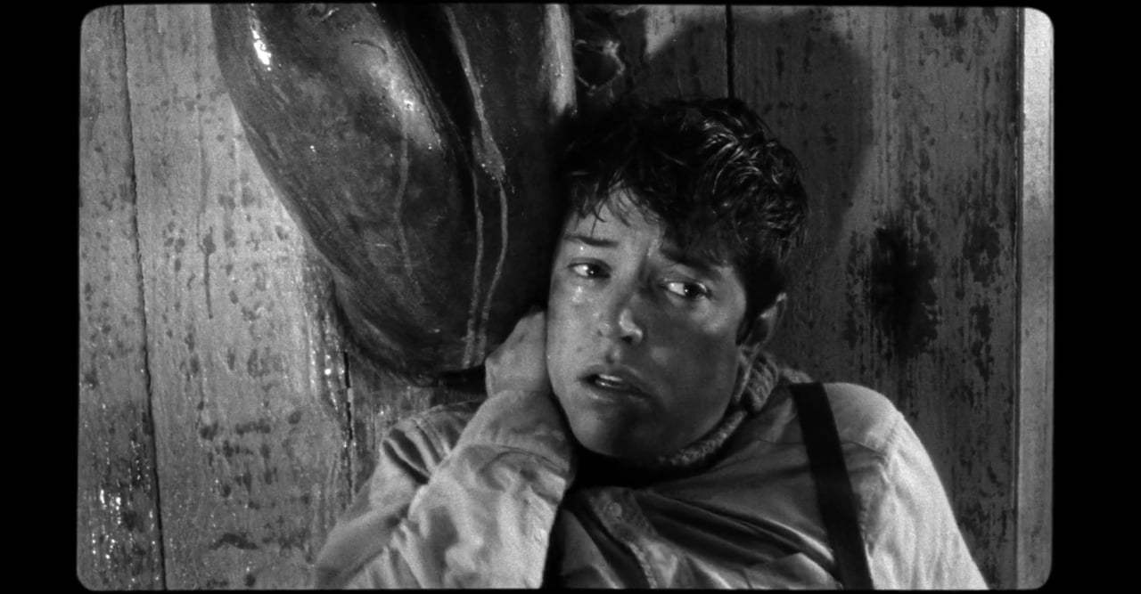 The Wild Boys Trailer (2018) Screen Capture #2