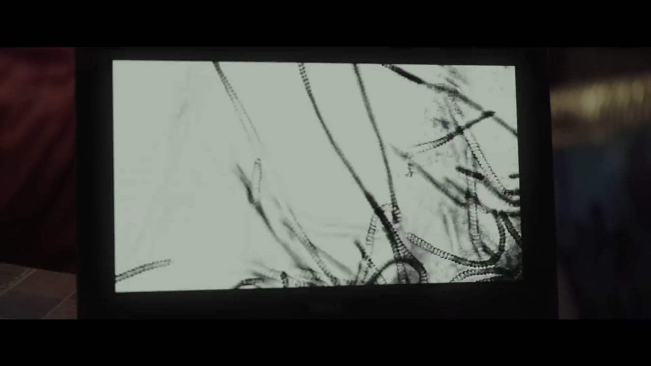 Slender Man Theatrical Trailer (2018) Screen Capture #2