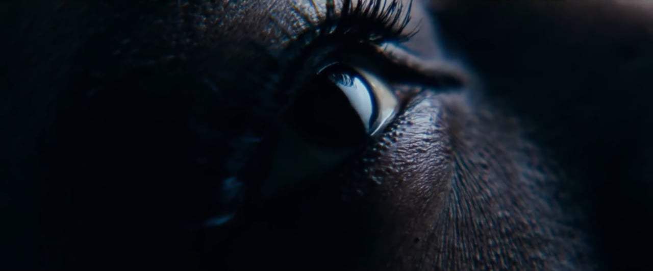 Widows Theatrical Trailer (2018) Screen Capture #1