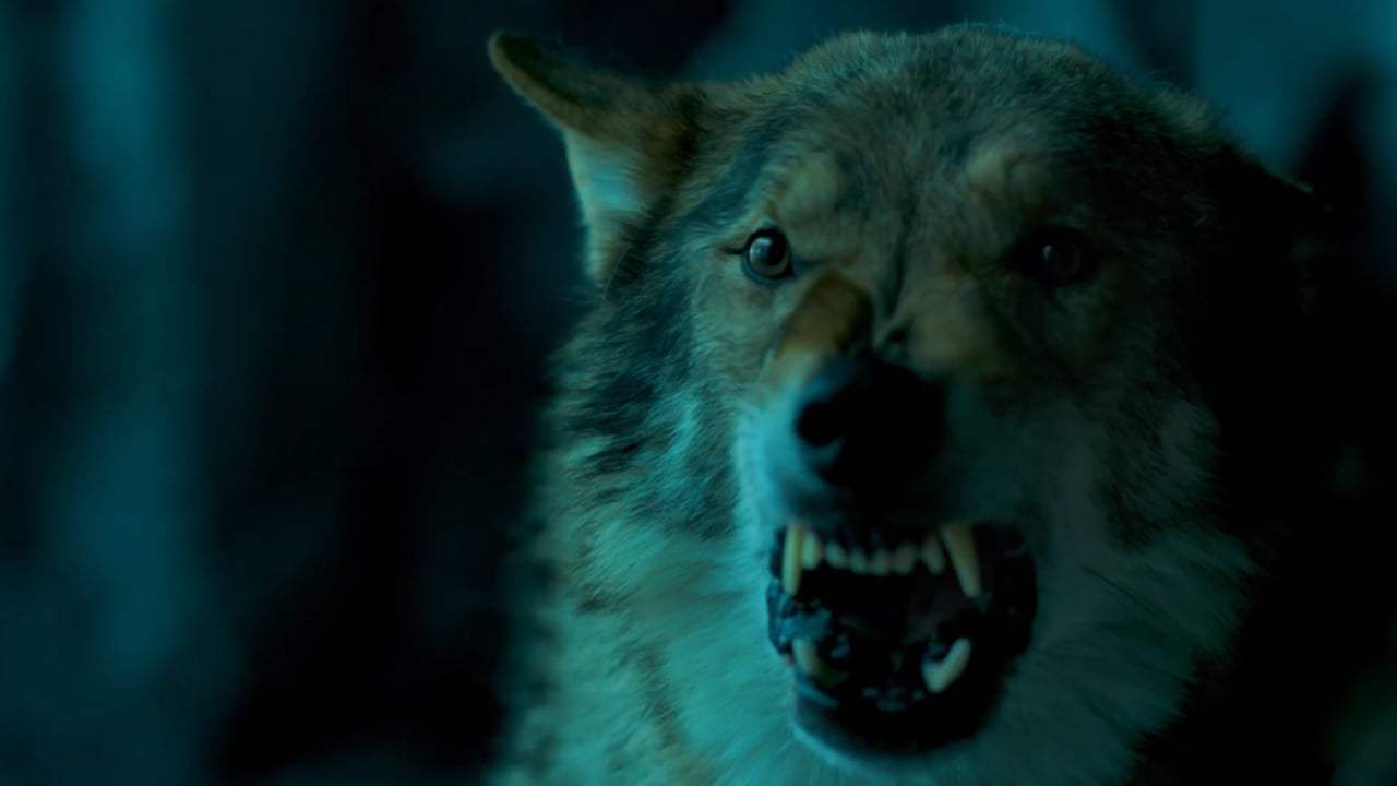 Alpha Featurette - The World of Alpha (2018) Screen Capture #1