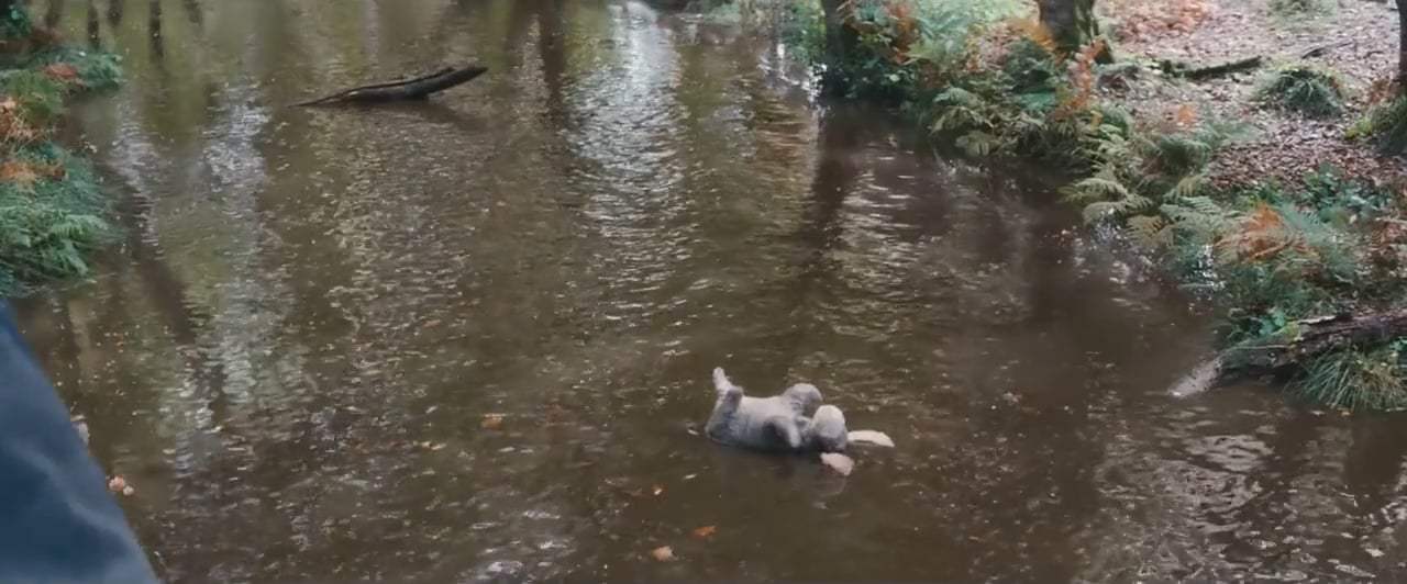 Christopher Robin (2018) - Eeyore Rescue Screen Capture #1