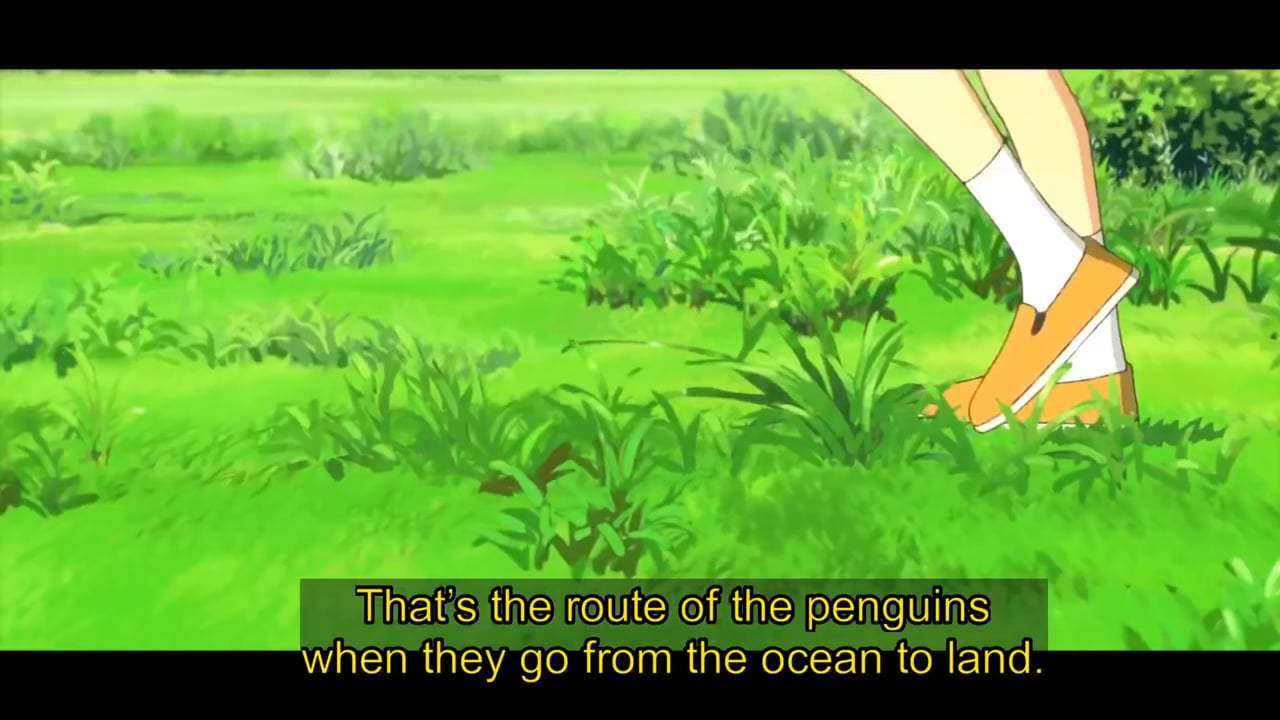 Penguin Highway Trailer (2018) Screen Capture #1