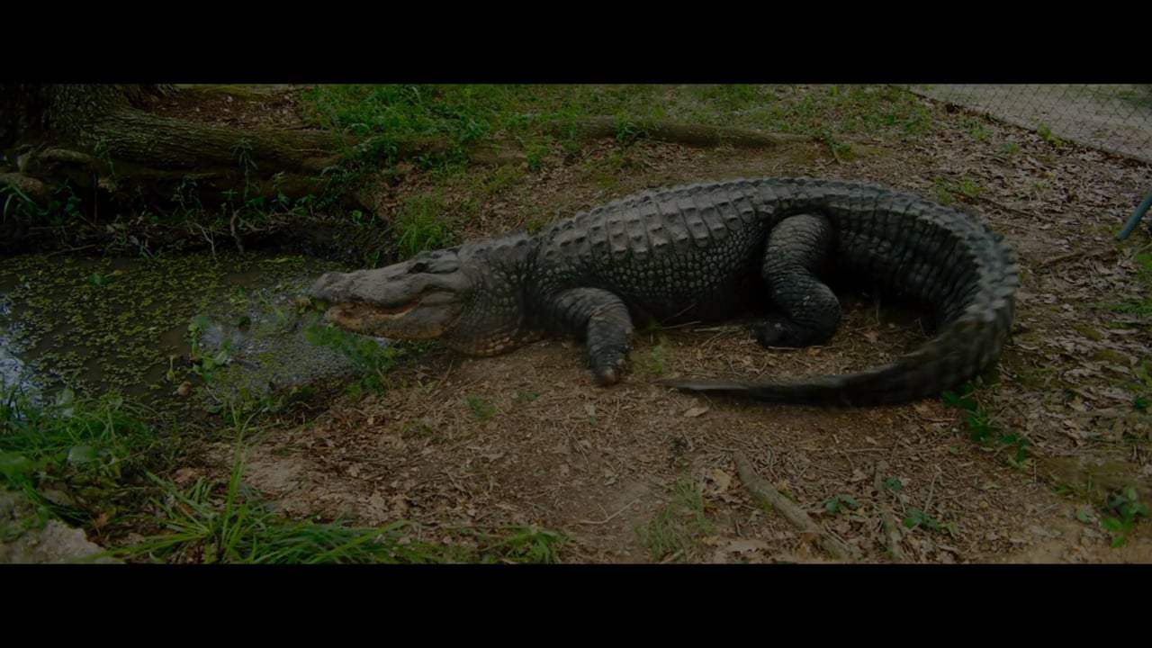Bayou Caviar Trailer (2018) Screen Capture #4