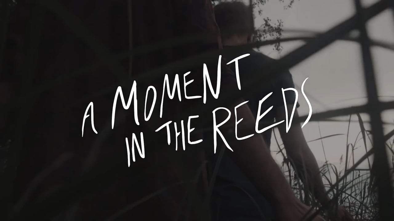 A Moment in the Reeds Trailer (2018) Screen Capture #4