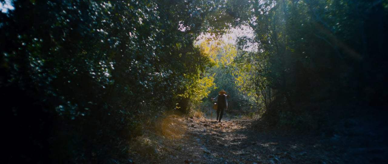 At Eternity's Gate Trailer (2018) Screen Capture #1