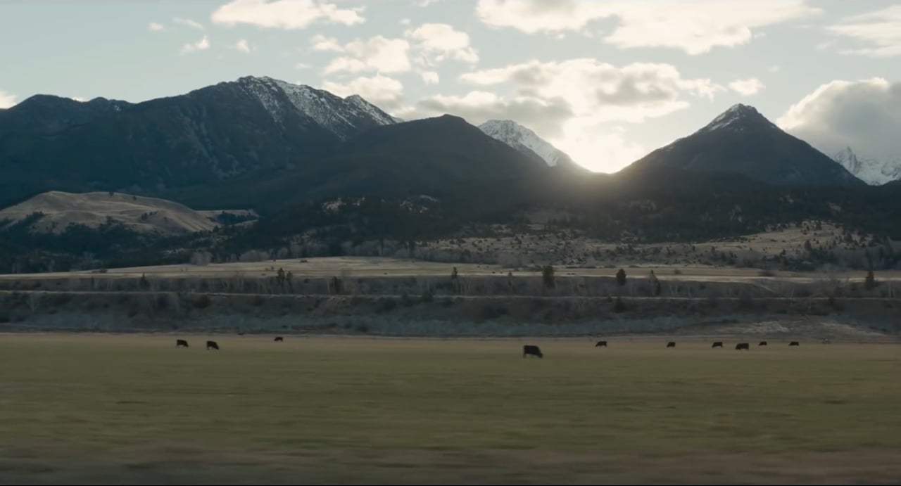 Wildlife Feature Trailer (2018) Screen Capture #1