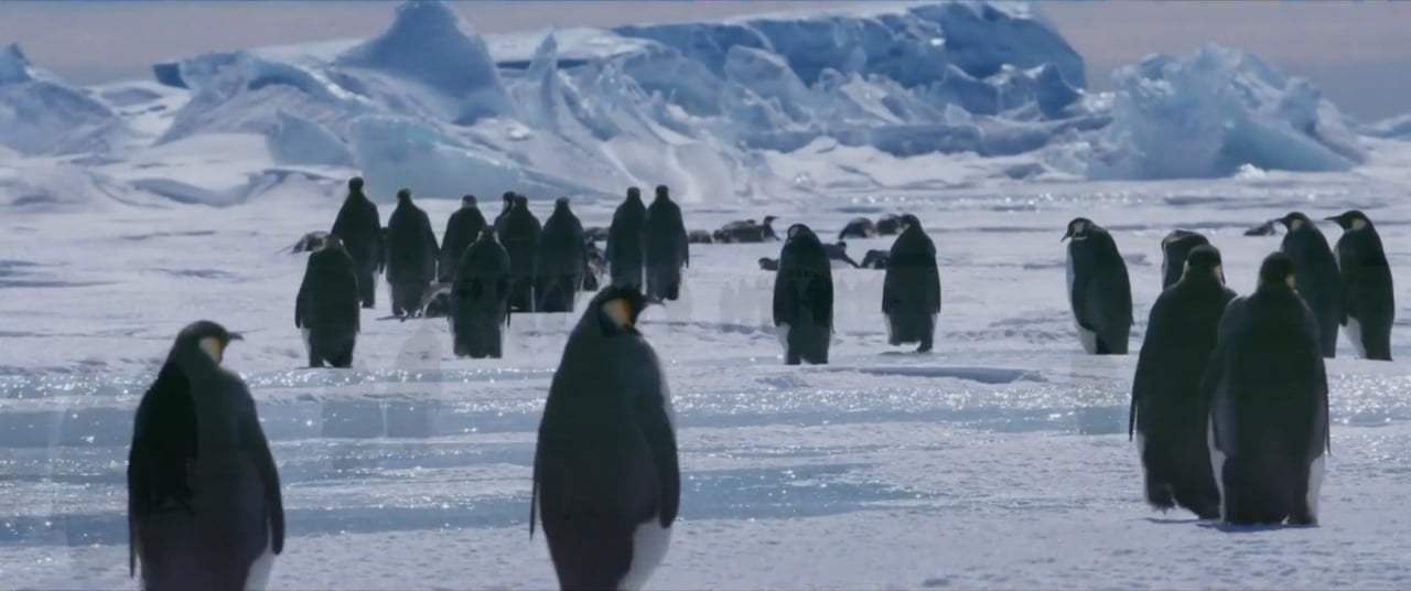 March of the Penguins 2: The Next Step Trailer (2018) Screen Capture #1