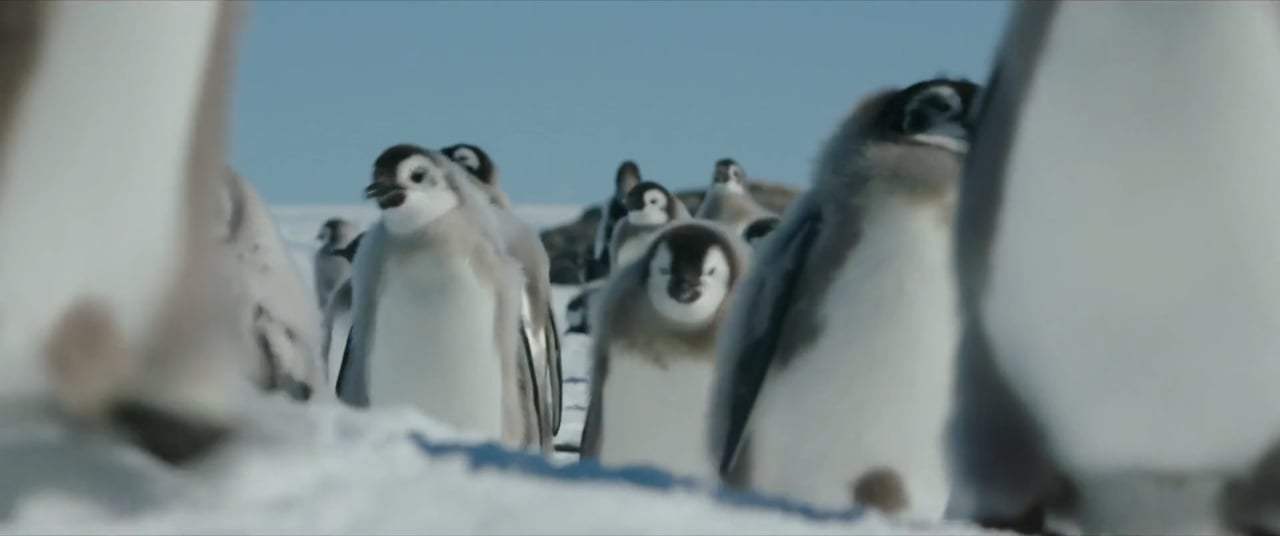 March of the Penguins 2: The Next Step Trailer (2018) Screen Capture #2