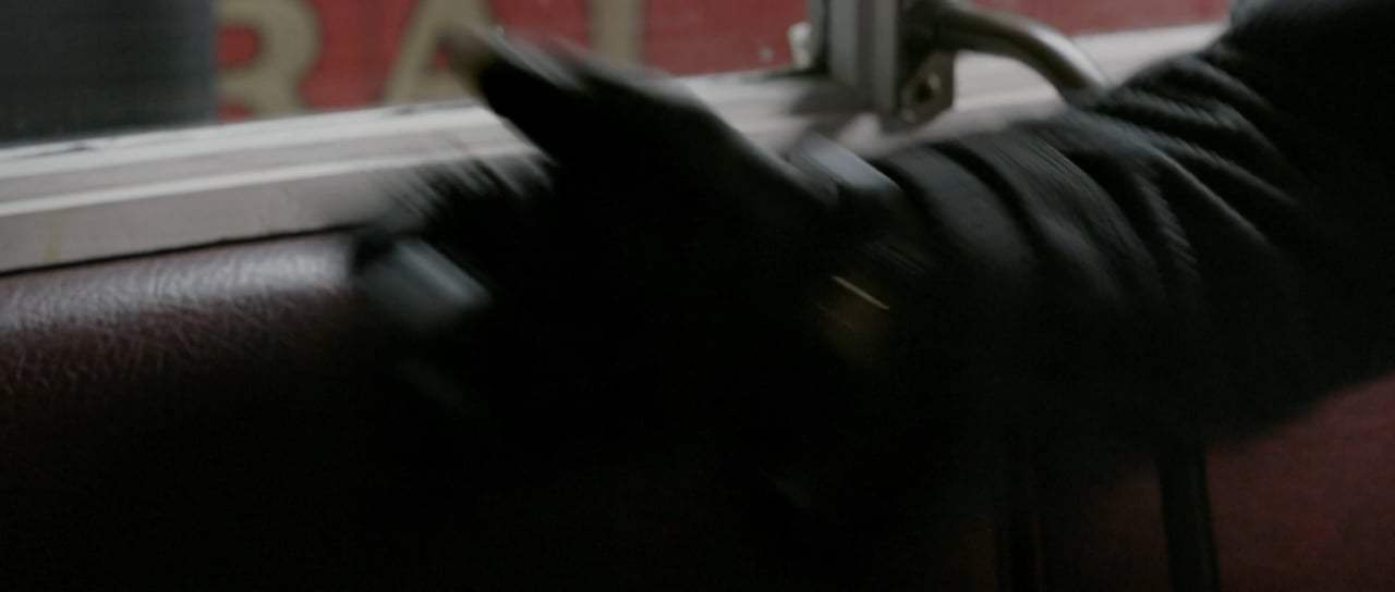 Fantastic Beasts: The Crimes of Grindelwald Final Trailer (2018) Screen Capture #1