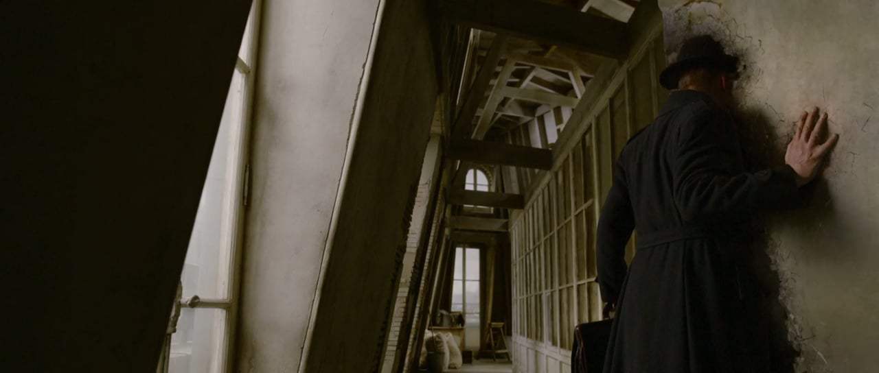 Fantastic Beasts: The Crimes of Grindelwald Final Trailer (2018) Screen Capture #3