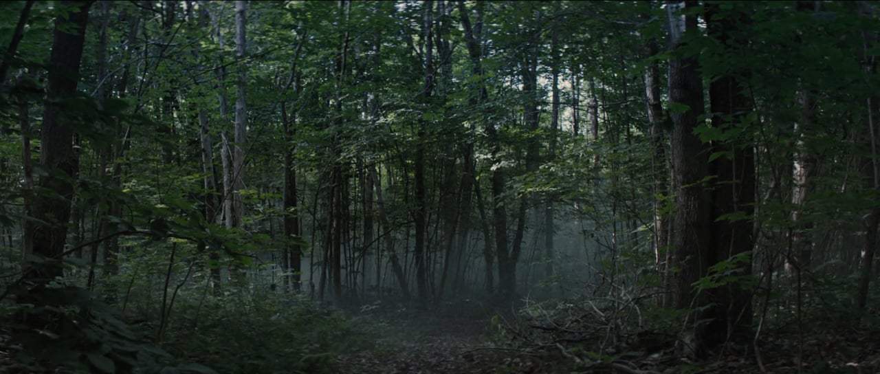 Pet Sematary Trailer (2019) Screen Capture #2