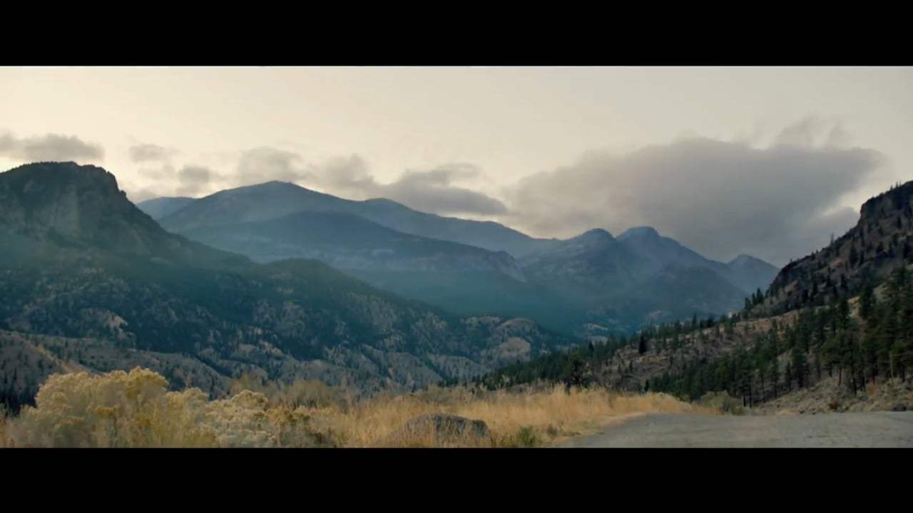 A Dog's Way Home Trailer (2019) Screen Capture #1