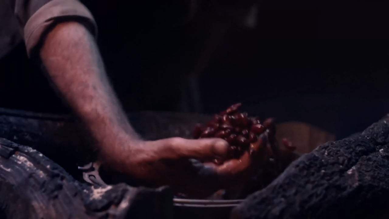 The Sisters Brothers Viral - How to Cook a Gourmet Dinner (2018) Screen Capture #4