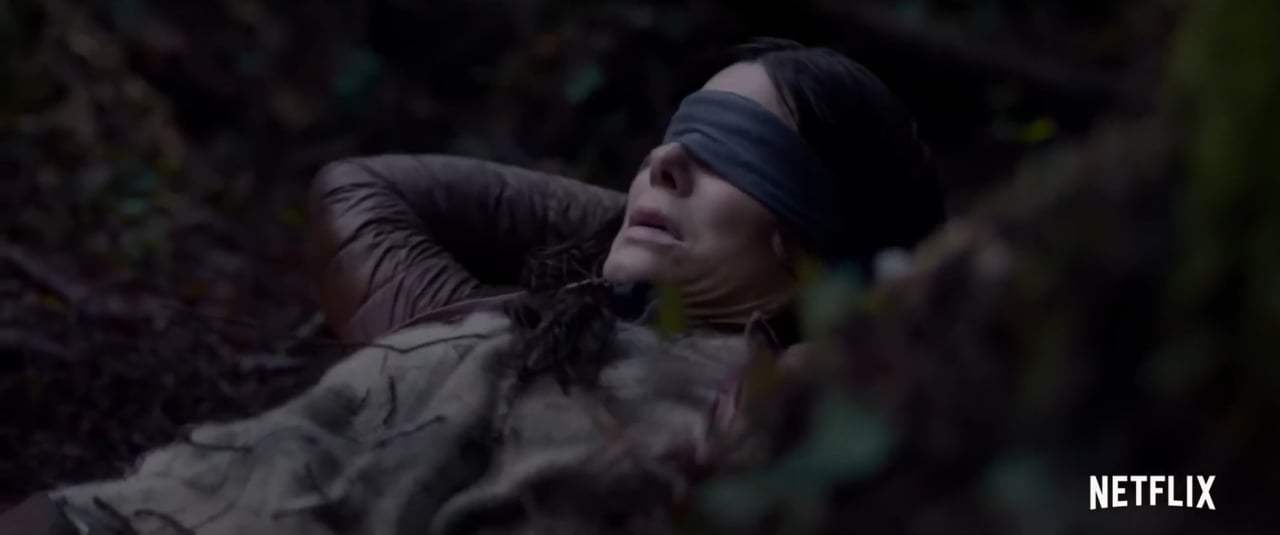 Bird Box Trailer (2018) Screen Capture #1