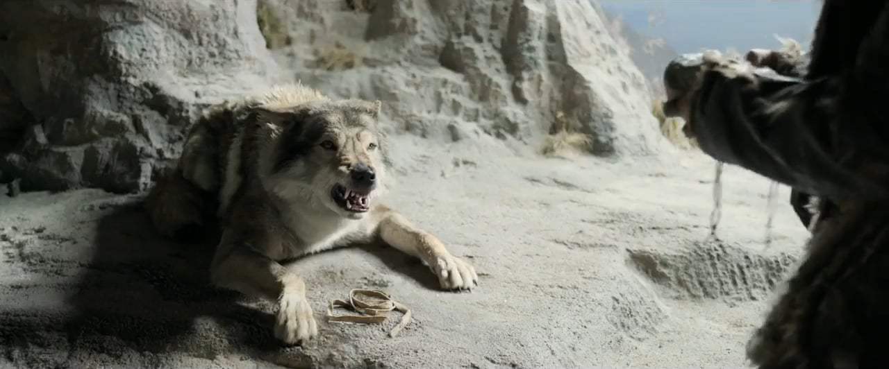 Alpha TV Spot - Own It (2018) Screen Capture #1