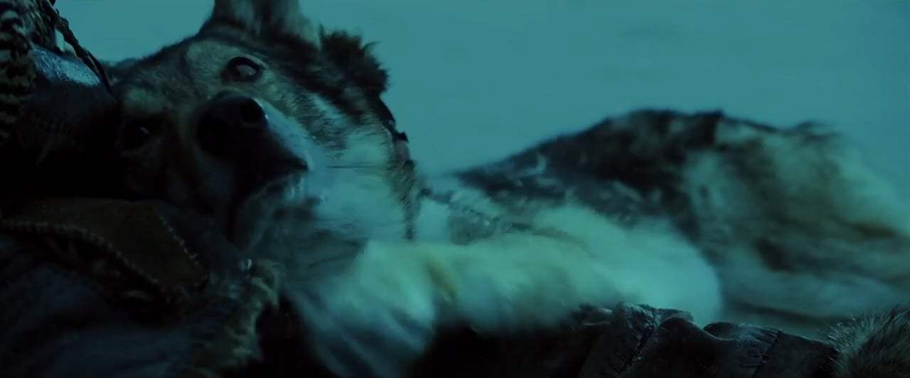 Alpha TV Spot - Own It (2018) Screen Capture #3