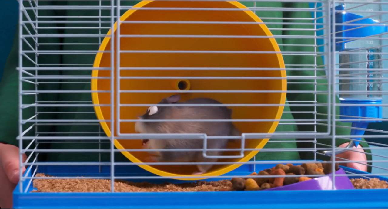 The Secret Life of Pets 2 Teaser Trailer (2019) Screen Capture #3