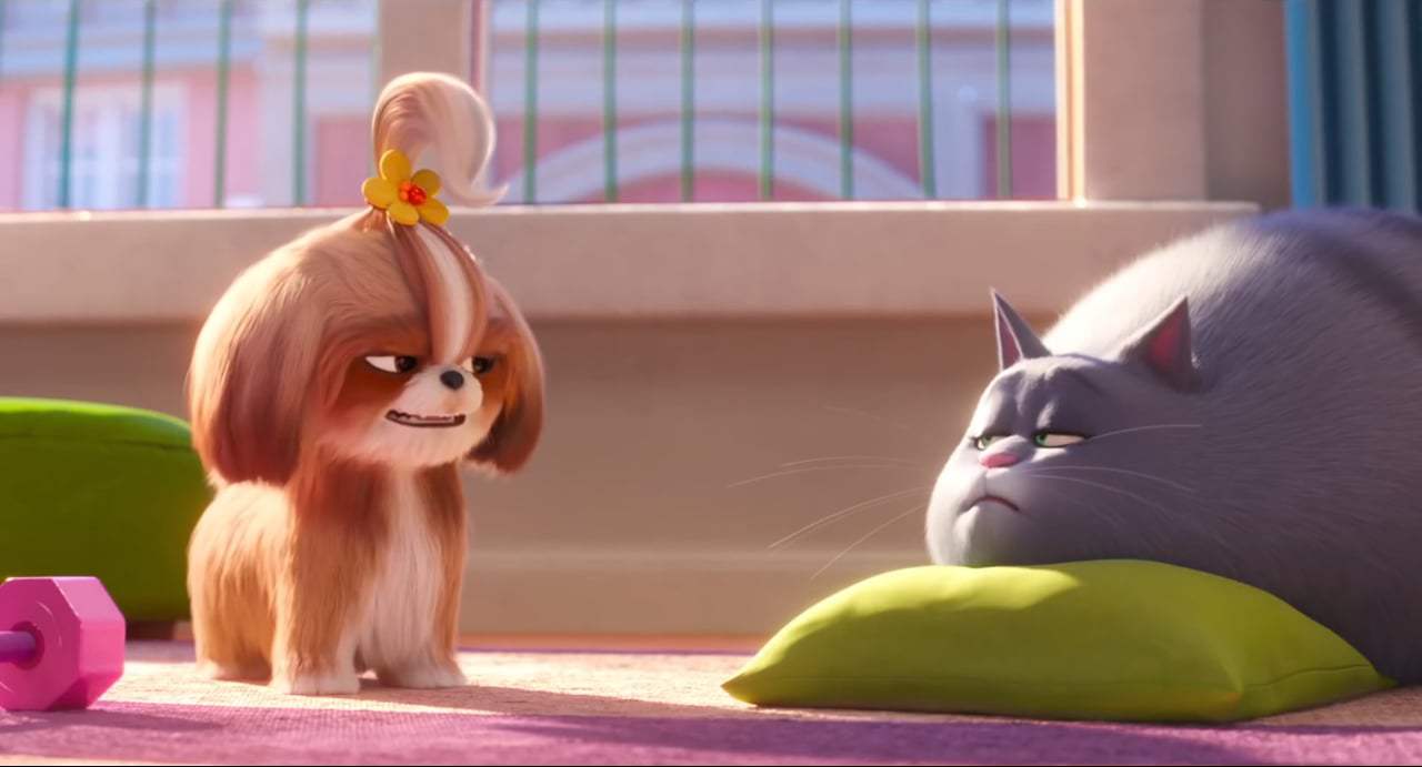 The Secret Life of Pets 2 Teaser Trailer (2019) Screen Capture #4
