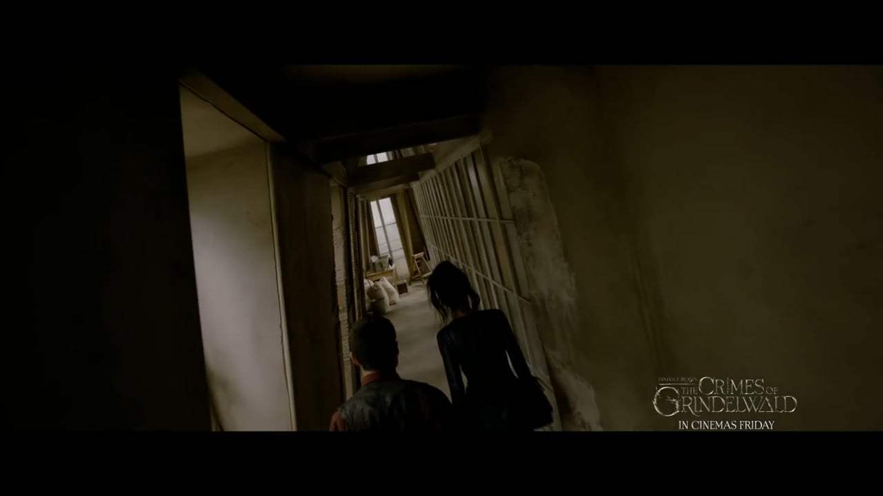 Fantastic Beasts: The Crimes of Grindelwald TV Spot - View (2018) Screen Capture #1
