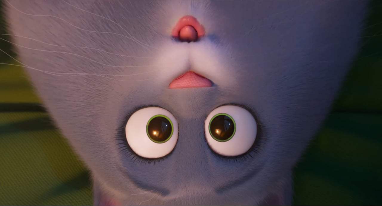 The Secret Life of Pets 2 The Chloe Trailer (2019) Screen Capture #4