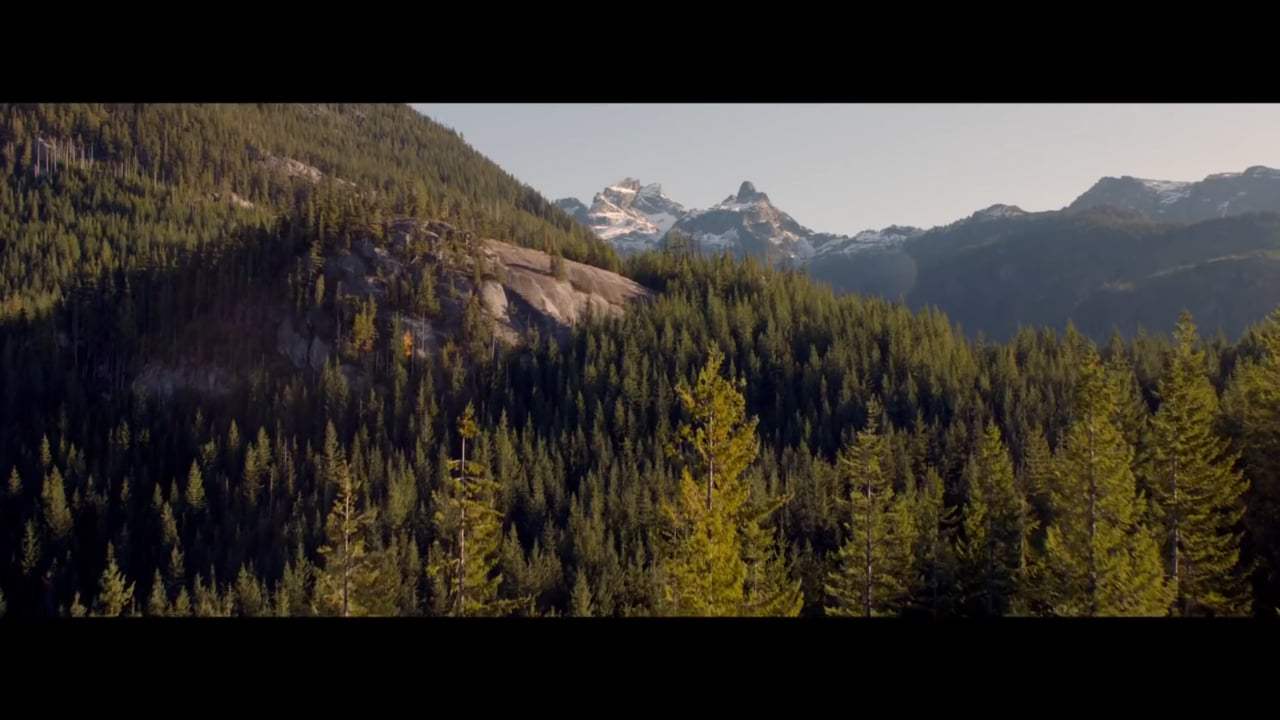 A Dog's Way Home Featurette - Finding Bella (2019) Screen Capture #2