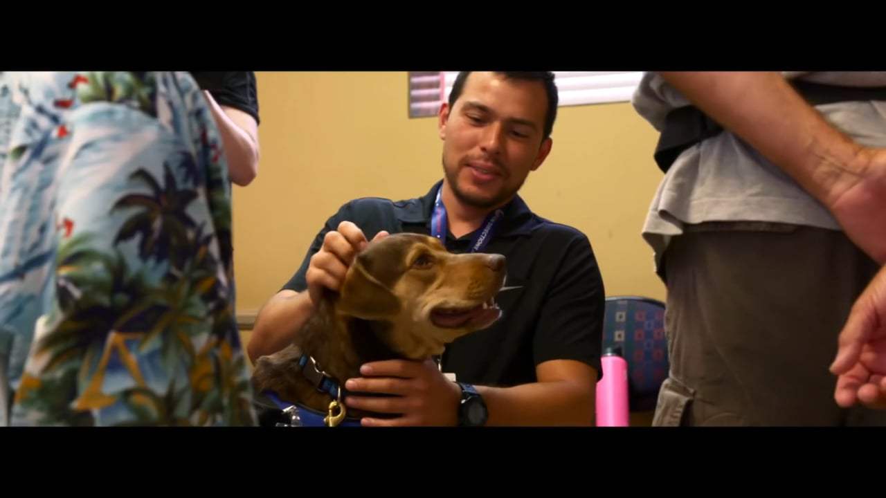A Dog's Way Home Featurette - Finding Bella (2019) Screen Capture #3