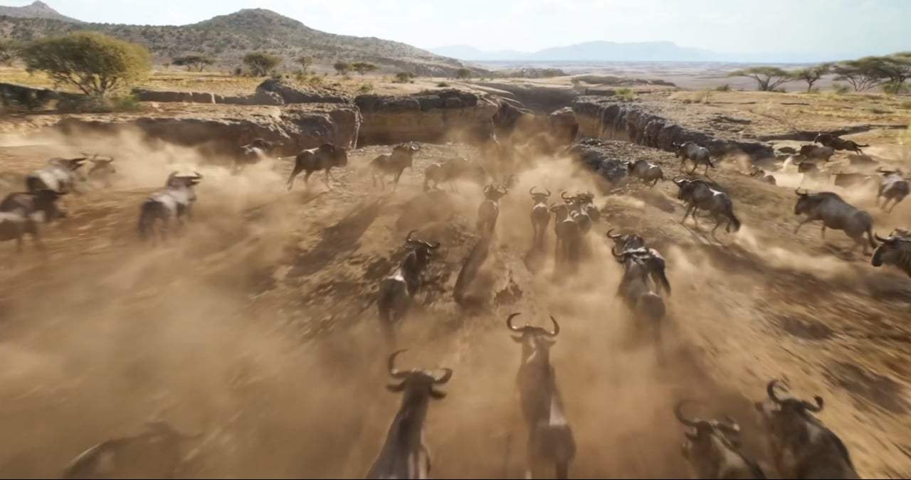 The Lion King Teaser Trailer (2019) Screen Capture #2