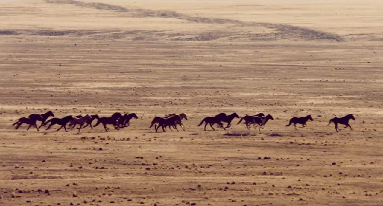 The Mustang Trailer (2019) Screen Capture #4