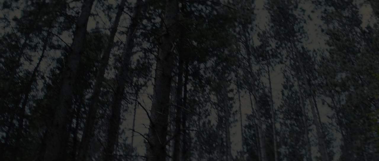 Pet Sematary Theatrical Trailer (2019) Screen Capture #1