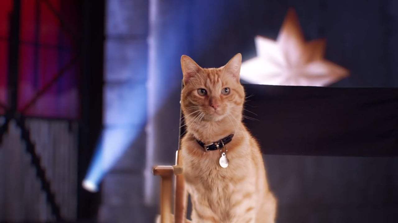 Captain Marvel Viral - The Real Star (2019) Screen Capture #4