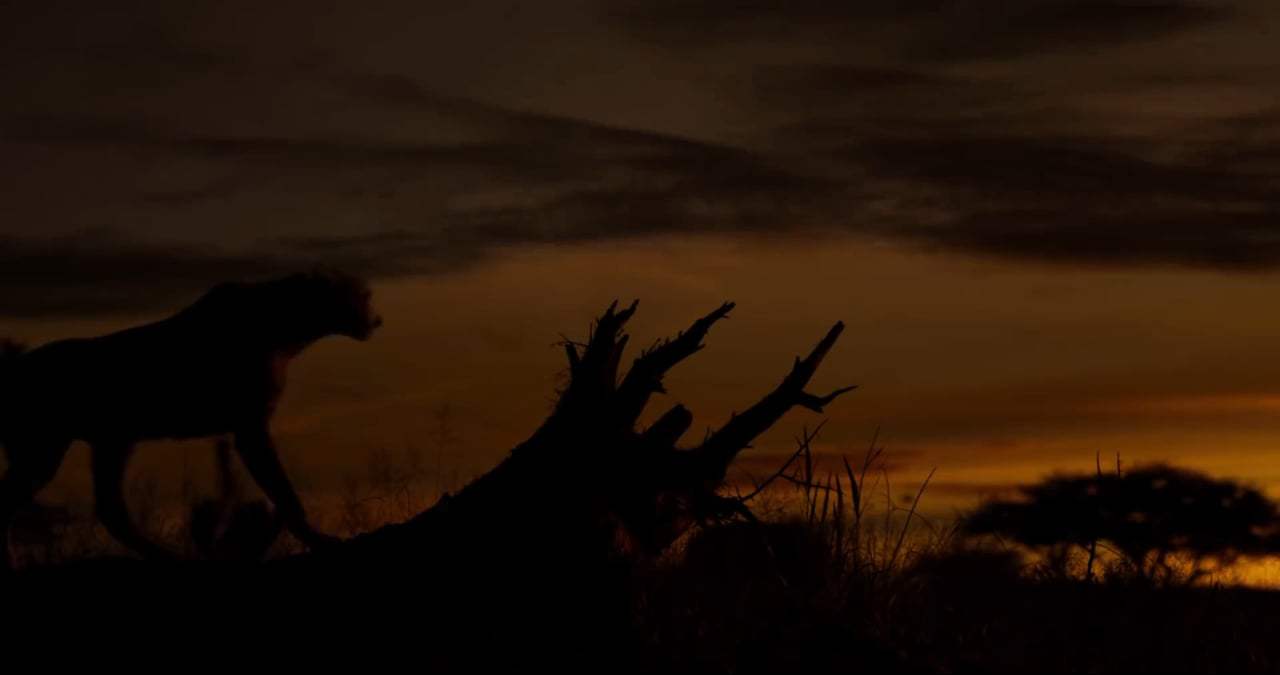 The Lion King TV Spot - Long Live the King (2019) Screen Capture #1