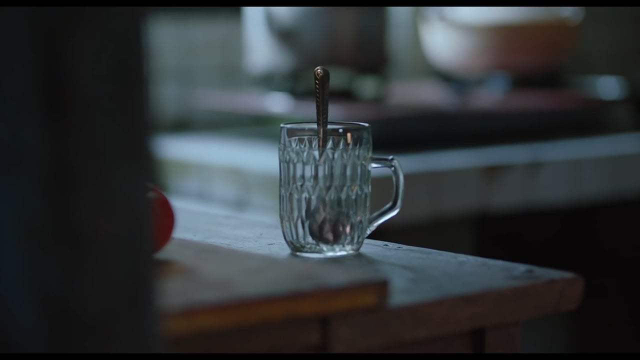 Long Day's Journey Into Night Trailer (2019) Screen Capture #1