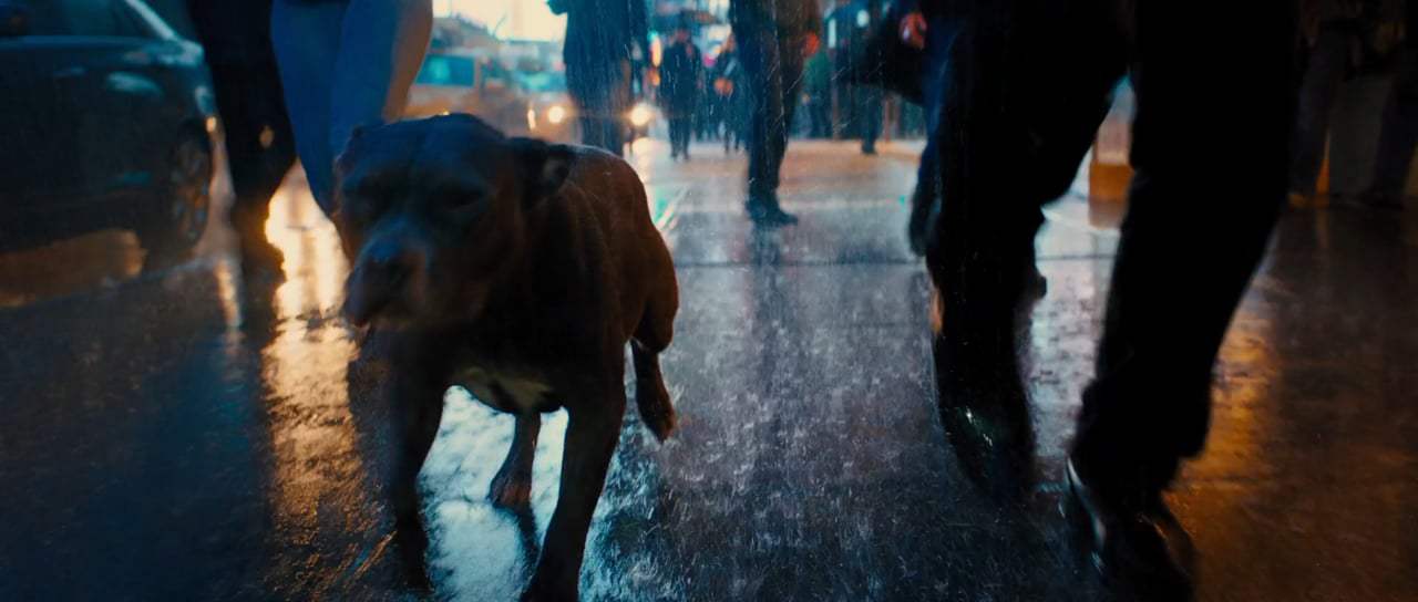 John Wick: Chapter 3 - Parabellum Theatrical Trailer (2019) Screen Capture #1