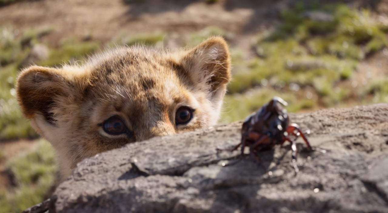 The Lion King Trailer (2019) Screen Capture #2