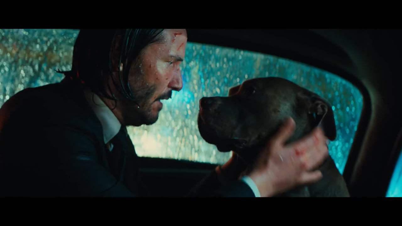 John Wick: Chapter 3 - Parabellum (2019) - Taxi Screen Capture #4